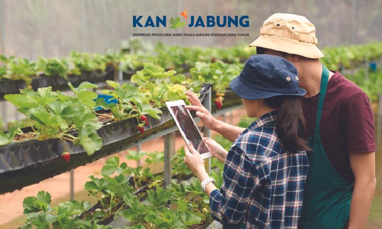 Peran Teknologi Mendukung Koneksi Petani dan Pasar Global