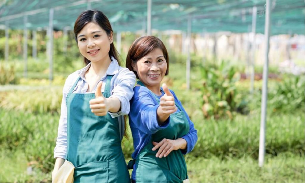 Koperasi Agro Niaga Jabung: Upaya Pertanian Berkelanjutan