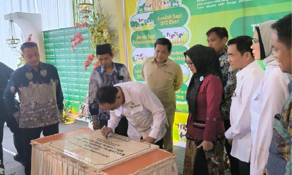 Kunjungan Menteri Koperasi ke JAB Farm KAN Jabung: Dukungan untuk Pengembangan Peternakan Sapi Perah Modern