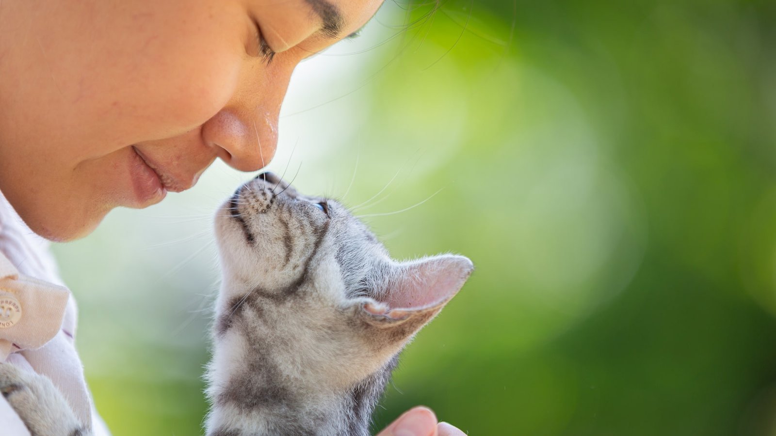 Animal Welfare: Pengertian, Prinsip, dan Pentingnya Bagi Dunia Modern