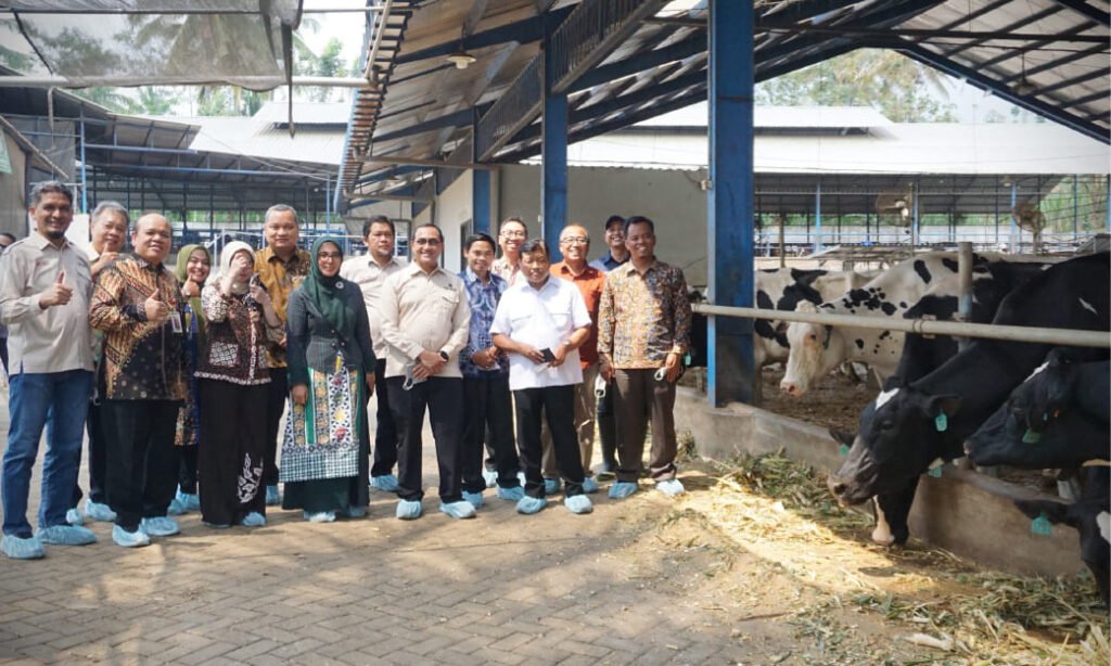 KAN Jabung Jadi Tuan Rumah Boarding Data Digitalisasi Ekosistem Sapi Perah dan FGD bersama OJK, ILO, dan DPR RI Komisi XI