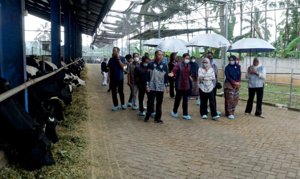 Kunjungan Wakil Menteri Koperasi Dorong Penguatan Ekosistem Bisnis KAN Jabung dan LPDB