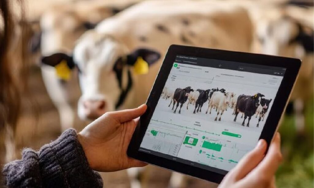 Teknologi Digital dalam Peternakan Sapi Perah: Inovasi Menuju Produksi Susu Modern