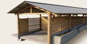 konstruksi kandang sapi dengan tiang kayu bulat lantai semen dan atap seng