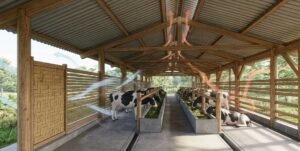 sistem ventilasi kandang sapi terbuka untuk iklim tropis Indonesia dengan sirkulasi udara