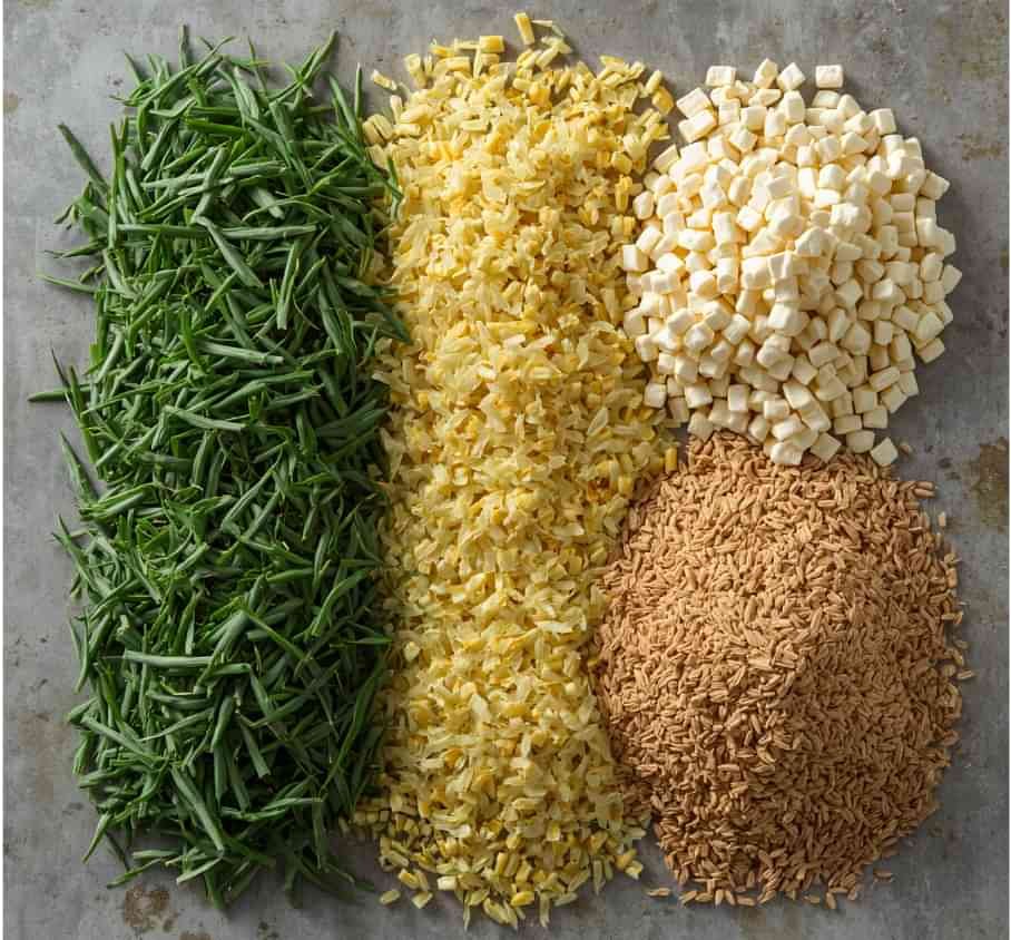 pakan hijauan segar dan konsentrat untuk sapi perah laktasi awal pasca melahirkan