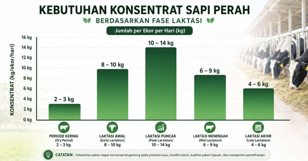 takaran konsentrat sapi perah per hari berdasarkan fase laktasi