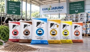 JabFeed konsentrat sapi perah dan potong produksi KAN Jabung varian produk