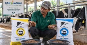 merk konsentrat sapi terbaik kriteria memilih dari peternak berpengalaman
