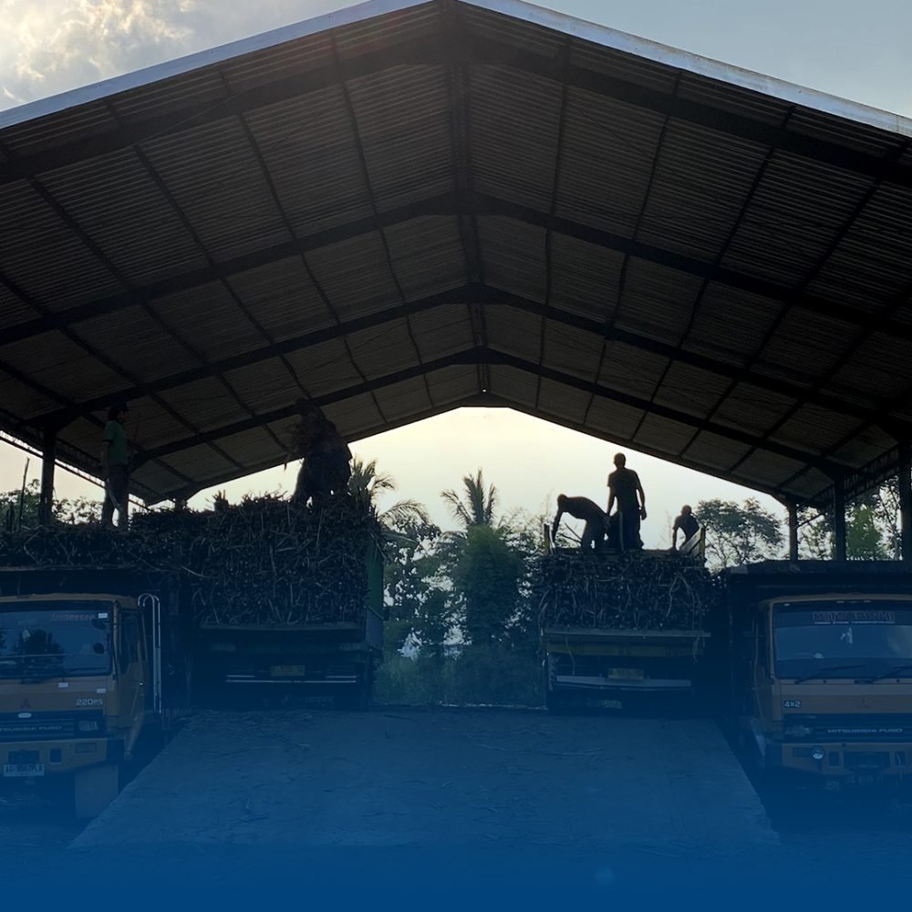 Bisnis Pertanian (3)