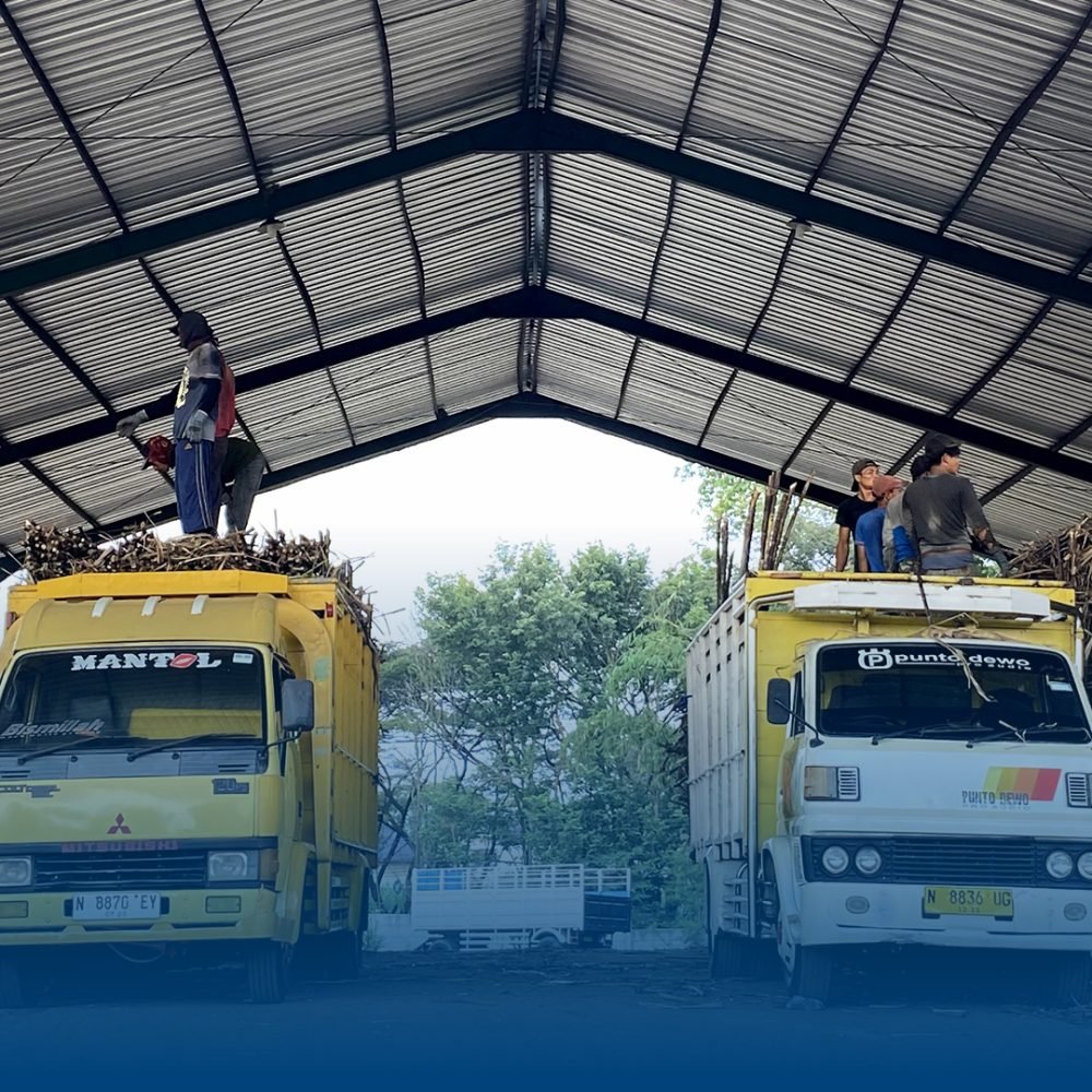 Bisnis Pertanian (4)