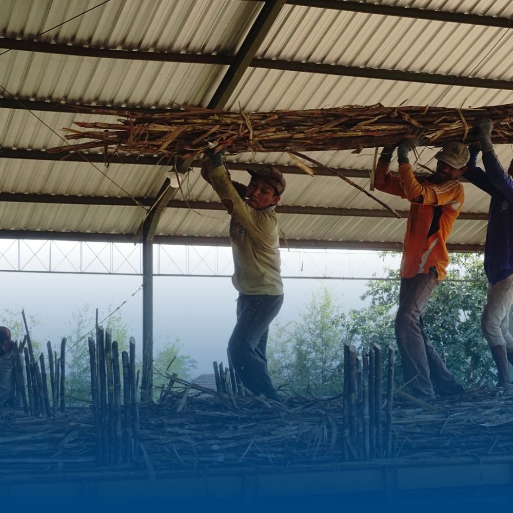 Bisnis Pertanian (5)