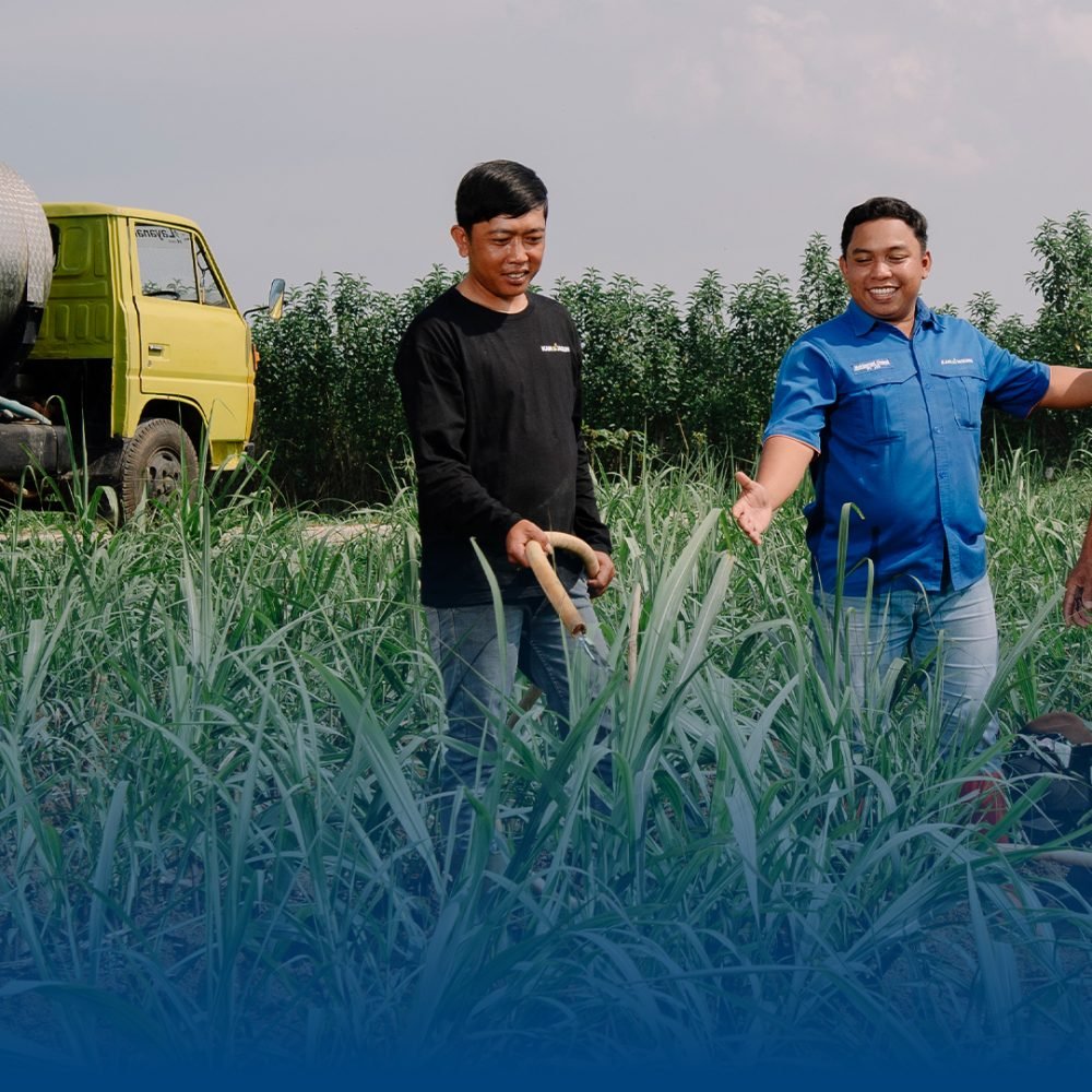 Bisnis Pertanian (6)