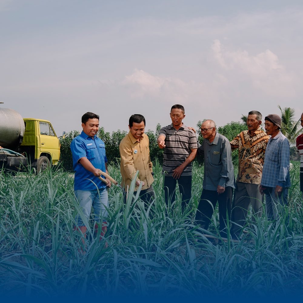 Bisnis Pertanian (7)